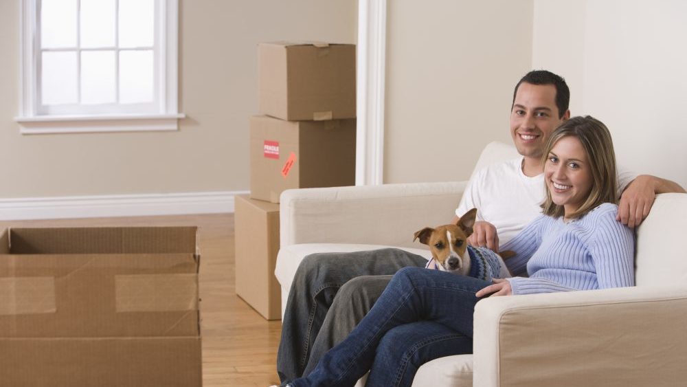 Prep Your Pets For Moving Day