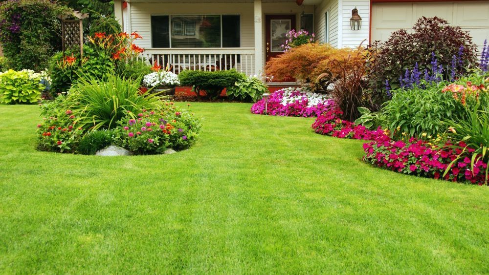 Spring Forward With Lush Landscaping