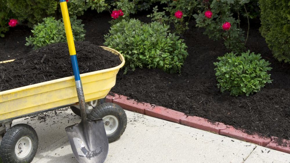 Mulch is a Gardener’s Best Friend