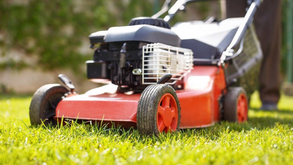 Cutting Edge Advice on Buying a Lawnmower