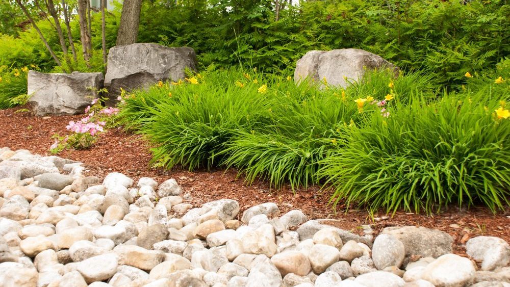 Four Tips to Downsizing Your Yard