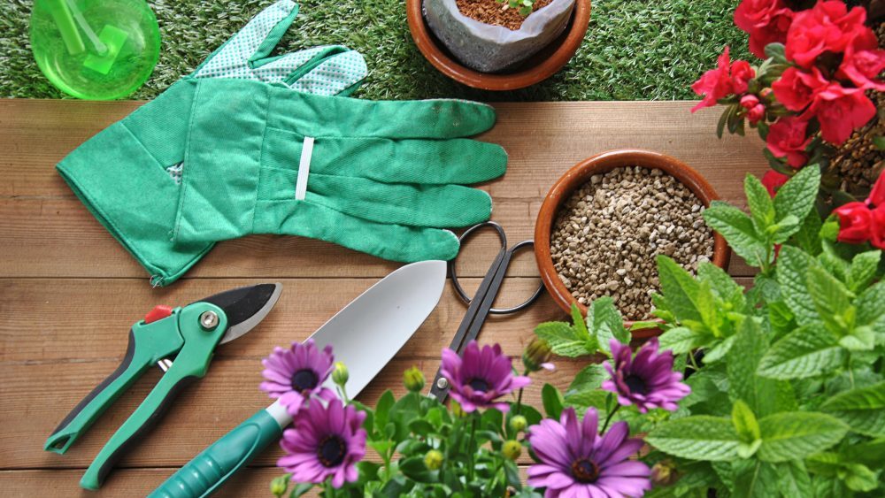 Top Ten Essential Gardening Tools