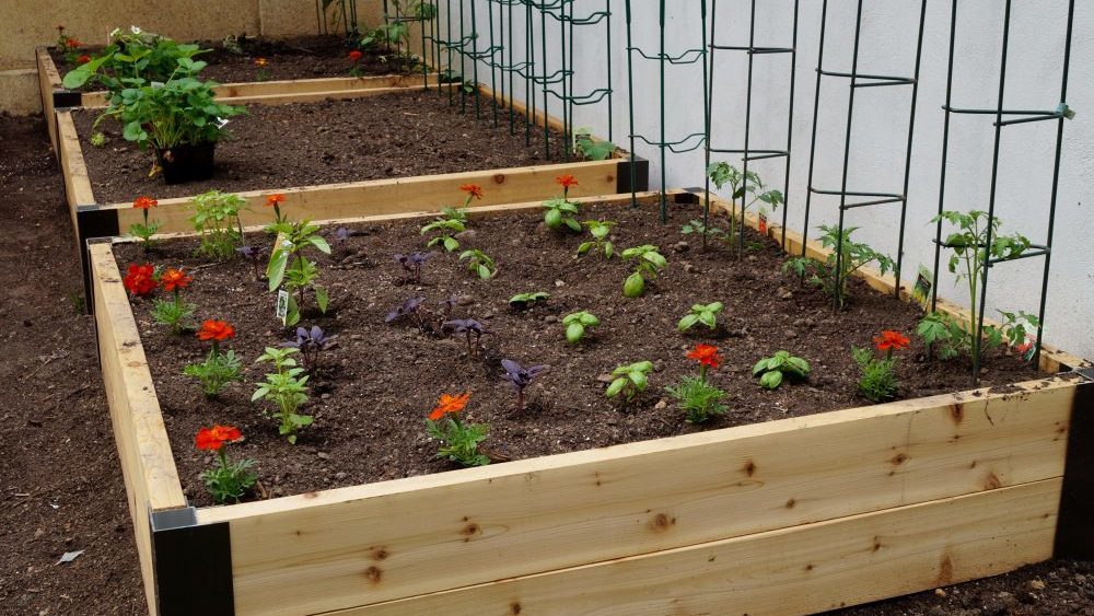 Living on a Budget: Installing a Raised Garden
