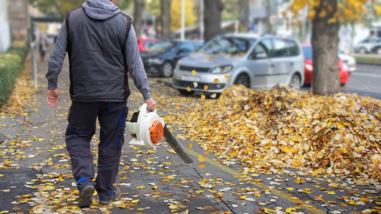 Let’s Go Shopping for a Leaf Blower