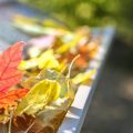 Leaves in home gutters should be cleaned on September To-Dos list for homeowners.