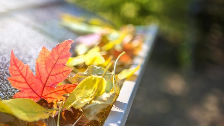 Leaves in home gutters should be cleaned on September To-Dos list for homeowners.