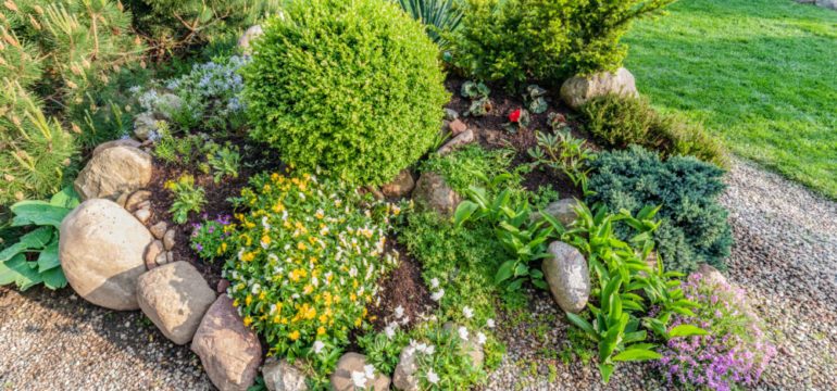 Photo of alternative landscape choices to traditional lawns.