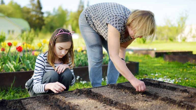 Cute young girl helping her grandmother to plant seedlings in a garden on her checklist of April To-Dos for homeowners.