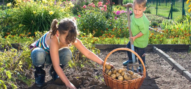 Mother working with son on August harvest of garden on To-Do list.