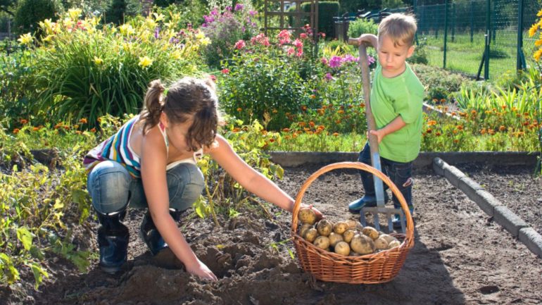 Mother working with son on August harvest of garden on To-Do list.