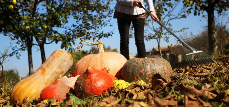 Homeowner raking leaves with pumpkins on lawn to show chores on Fall To-Do list.