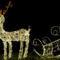Reindeer animated Christmas decorations at night.