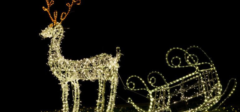 Reindeer animated Christmas decorations at night.