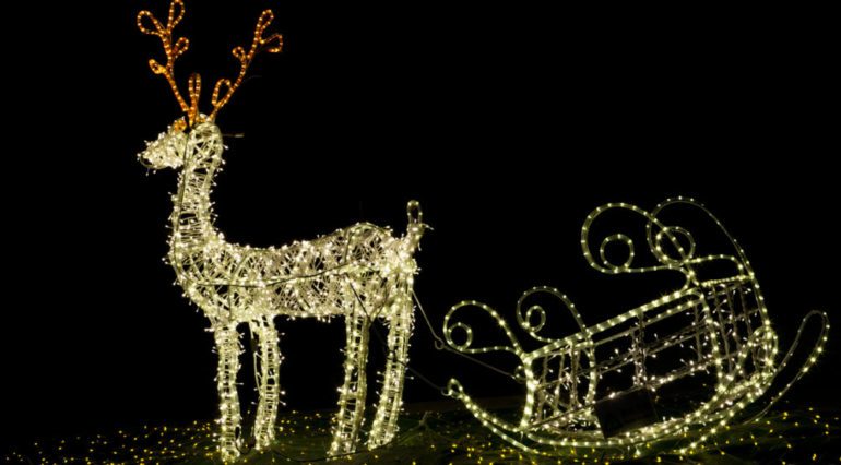 Reindeer animated Christmas decorations at night.