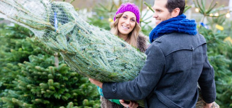 Couple carrying a real Christmas tree they just purchased for their home.