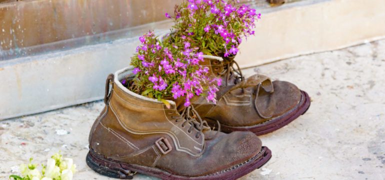 Example of upcycling where a pair of old used boots are used as flower pots with lovely purple flowers in them. Boots are worn and weathered with a lovely patina to them.