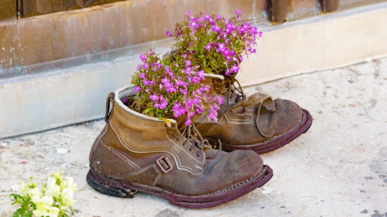 Example of upcycling where a pair of old used boots are used as flower pots with lovely purple flowers in them. Boots are worn and weathered with a lovely patina to them.
