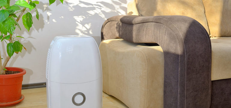 Portable dehumidifier collecting water from humid air inside of living room.