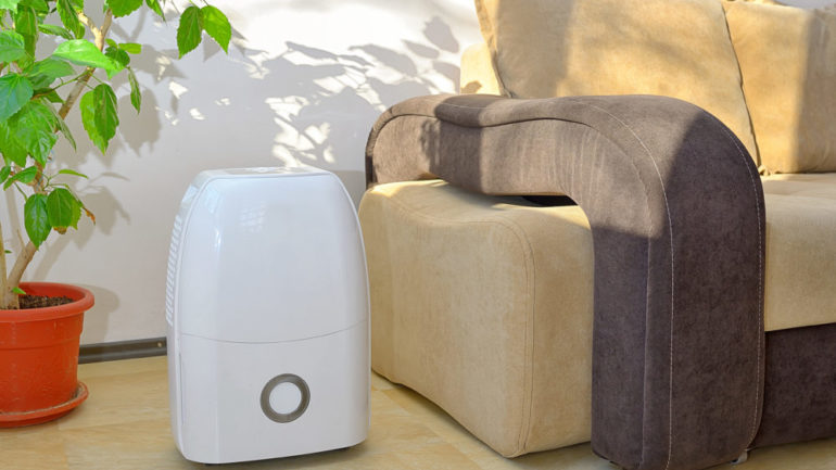 Portable dehumidifier collecting water from humid air inside of living room.