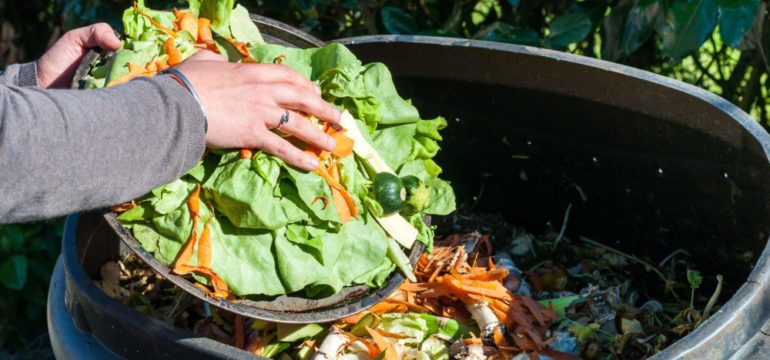 Composting the kitchen waste into an outdoor bin.