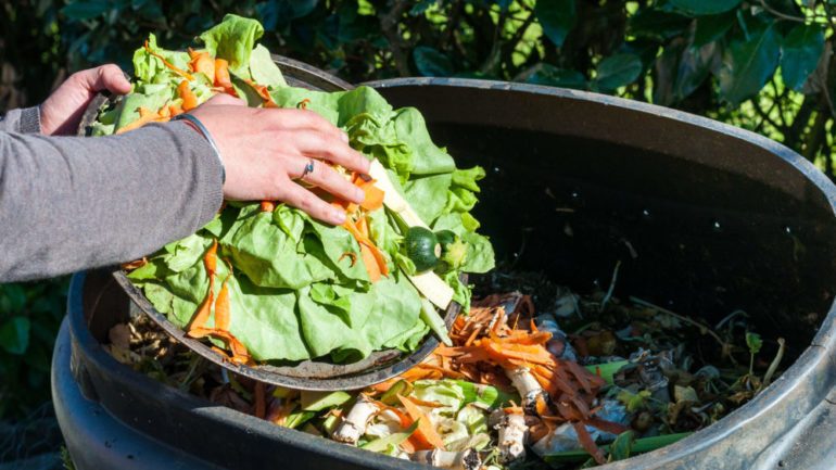 Composting the kitchen waste into an outdoor bin.