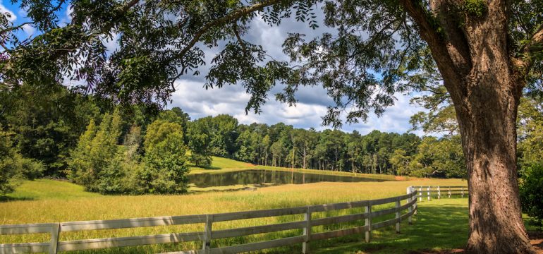 A large tree is in front of a white fence on rural land. There is a pasture, pond and trees in the background. Clouds and blue sky are in the background.