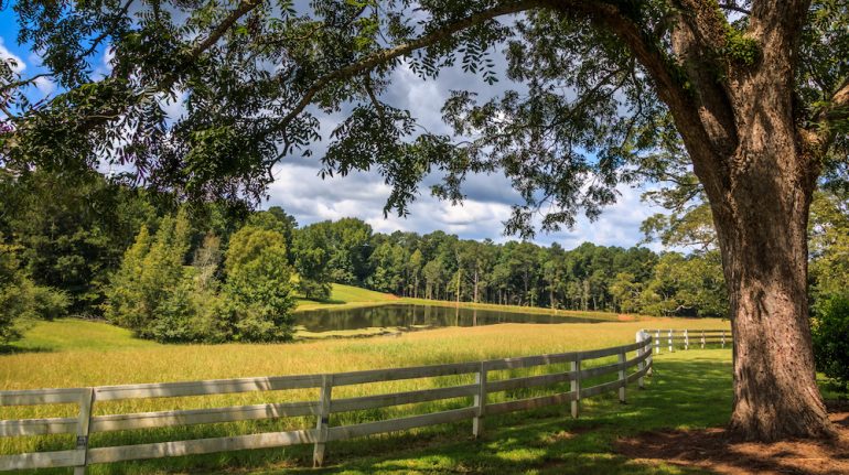 A large tree is in front of a white fence on rural land. There is a pasture, pond and trees in the background. Clouds and blue sky are in the background.