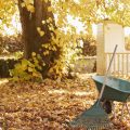 Photo of fall lawn maintenance tasks being completed with a rake and wheelbarrow amongst falling leaves.