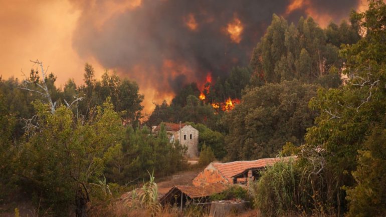 Wildfires covering wooded areas near residential homes.