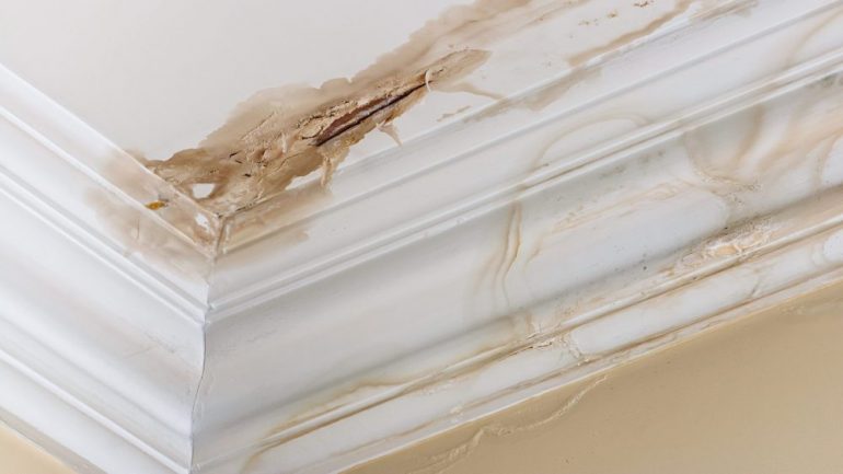 Peeling paint on an interior ceiling a result of water damage caused by a leaking pipe dripping down from upstairs a result of substandard plumbing completed by an unqualified plumber. A common sign of a house's condition.