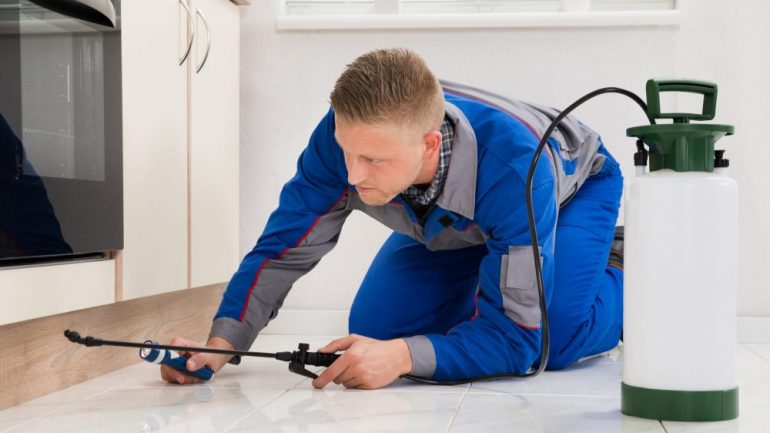 Male Worker Kneeling On Floor And Spraying Pesticide On Wooden Cabinets Included in Pest Control Contracts