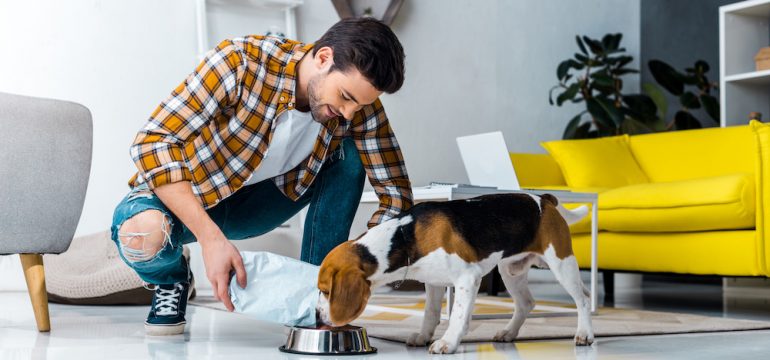 A handsome man feeding cute dog pet food in living room at home.