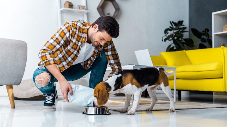 A handsome man feeding cute dog pet food in living room at home.