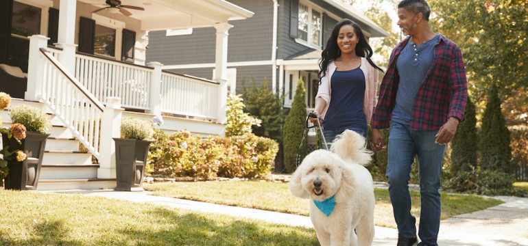 Couple walking a large shaggy dog along suburban street in a pet-friendly neighborhood.