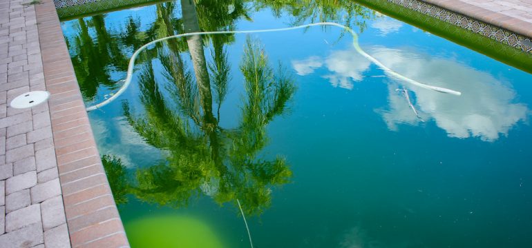 Backyard in-ground pool behind modern single family home with green stagnant algae-filled water before cleaning. There is a palm reflection in the pool water.