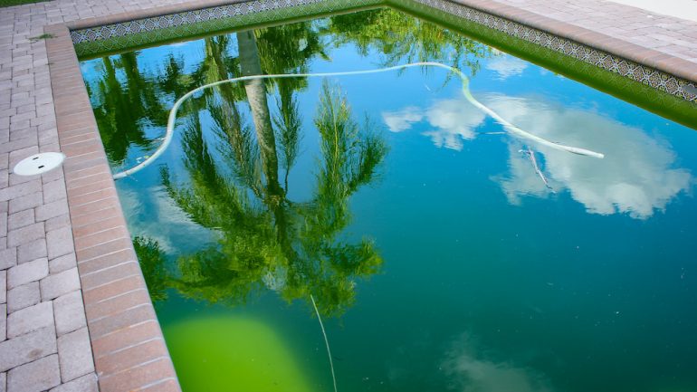 Backyard in-ground pool behind modern single family home with green stagnant algae-filled water before cleaning. There is a palm reflection in the pool water.