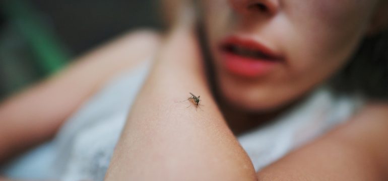 A mosquito sits on the woman's forearm. Pain, itching, danger of infection are results of mosquitoes biting humans.