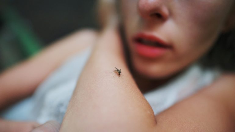 A mosquito sits on the woman's forearm. Pain, itching, danger of infection are results of mosquitoes biting humans.