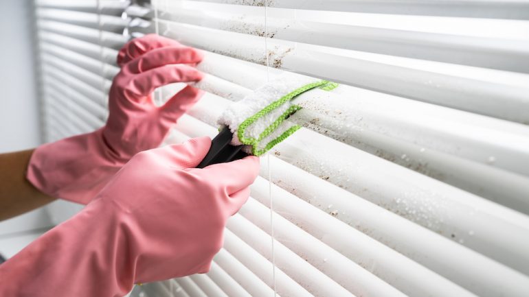 Person Professionally Cleaning Window Blinds From Dirt