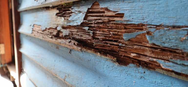 An old house with wood rot on exterior from termites and sun exposure.