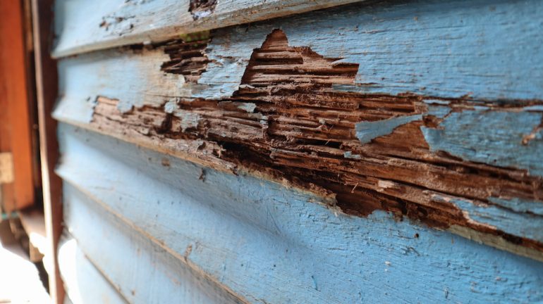 An old house with wood rot on exterior from termites and sun exposure.