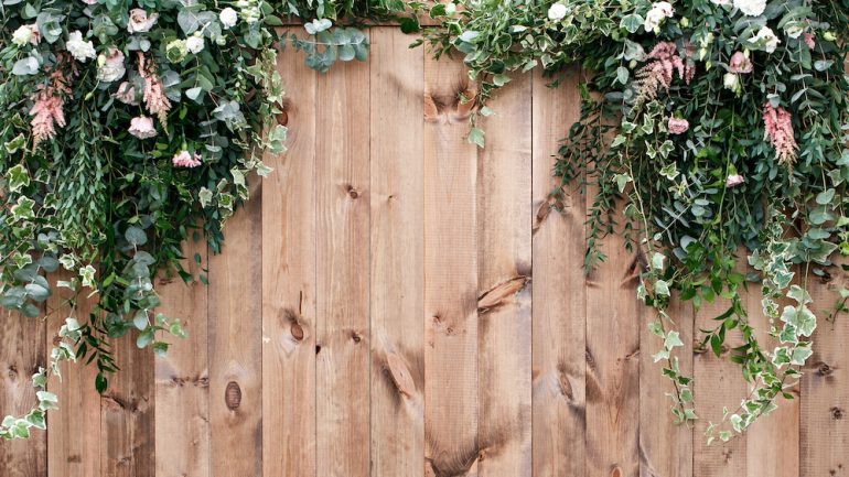 Fresh spring greens with white flower and leaf plant over wood fence background.