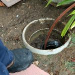Sewer Line Damage: Know the Signs