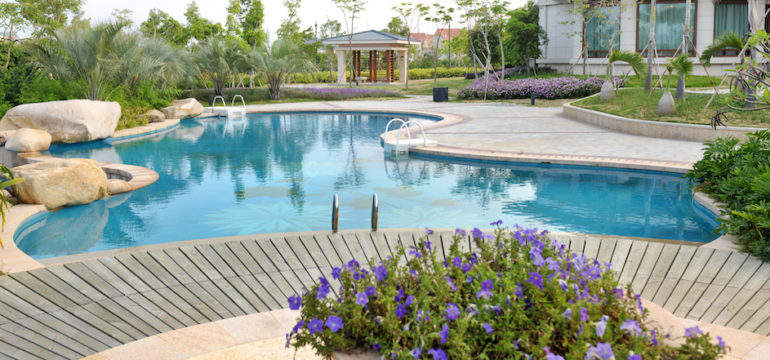 Inground swimming pool with landscaping around the backyard.