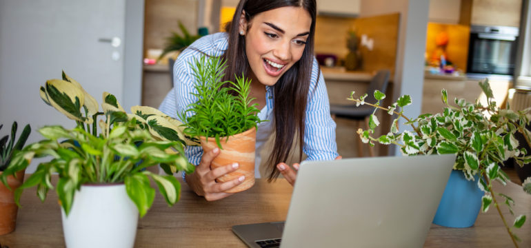Woman working indoors at home, using YouTube for online education for plants.