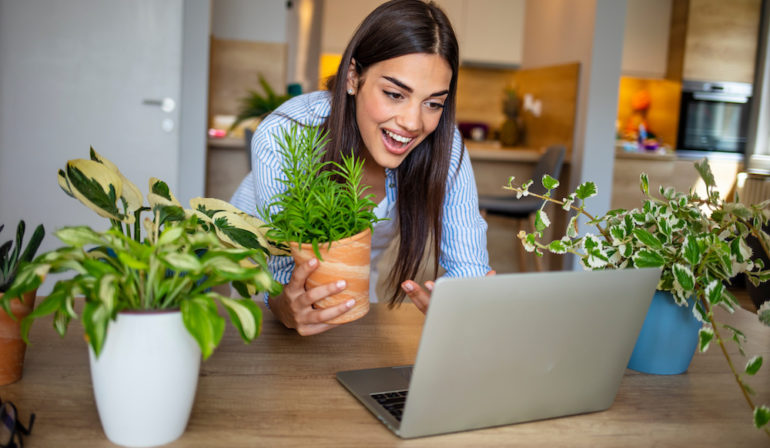 Woman working indoors at home, using YouTube for online education for plants.