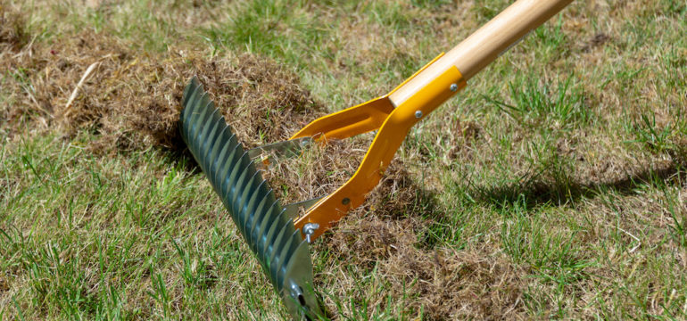 Close up of lawn with scarify rake in a garden in the springtime.
