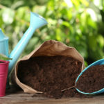 Potting Soil or Garden Soil — Which is Right For Your Plants?