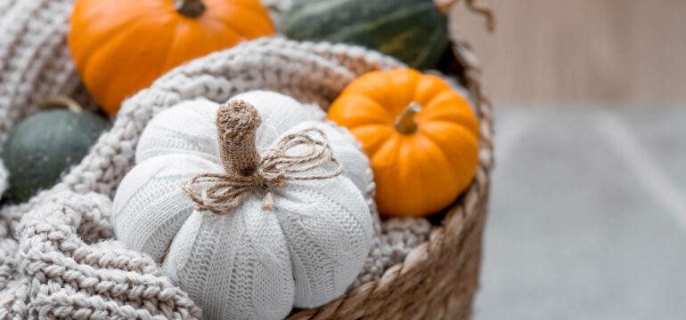 Still-life. Knitted pumpkin, orange pumpkins, beige knitted plaid in a homemade wicker basket. Cozy autumn concept. Home decor.