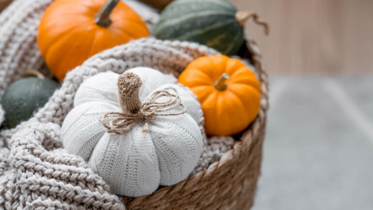 Still-life. Knitted pumpkin, orange pumpkins, beige knitted plaid in a homemade wicker basket. Cozy autumn concept. Home decor.